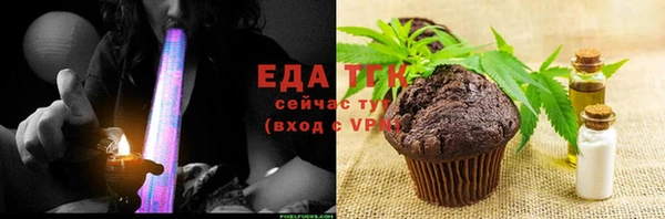 индика Мегион