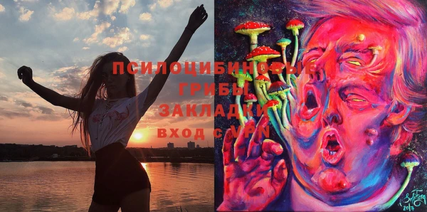 индика Мегион