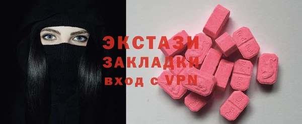 индика Мегион