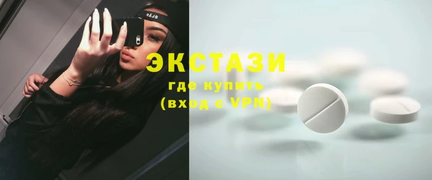 индика Мегион