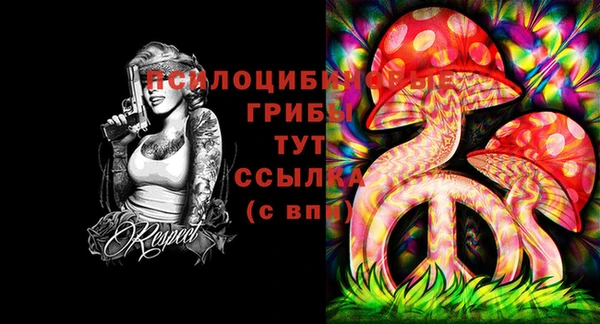 СК Михайловск