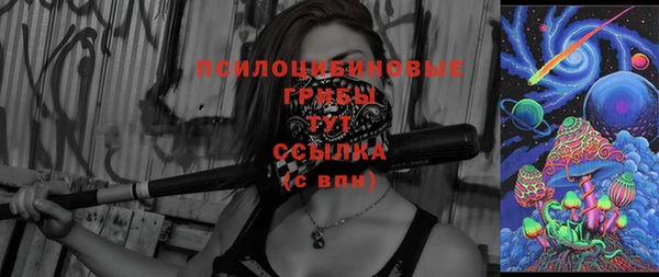 индика Мегион