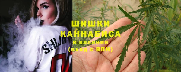 СК Михайловск