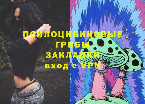 сатива Медногорск