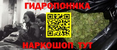 сатива Канаш