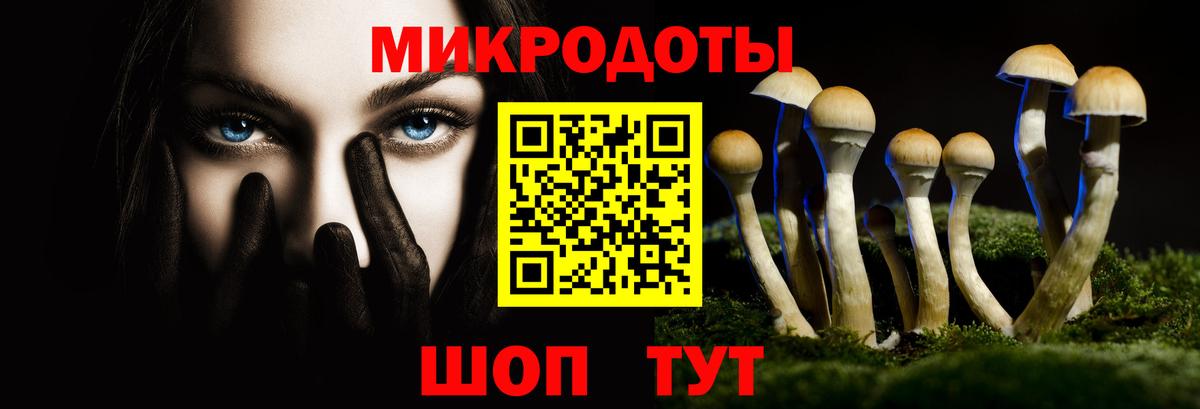 Псилоцибиновые грибы Psilocybine cubensis  Майский 